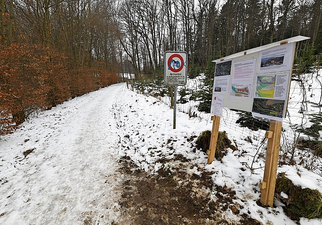 Umgeben von Wald: Das Buchloch-Areal könnte schon bald überbaut werden. Foto: Juri Junkov/Archiv
