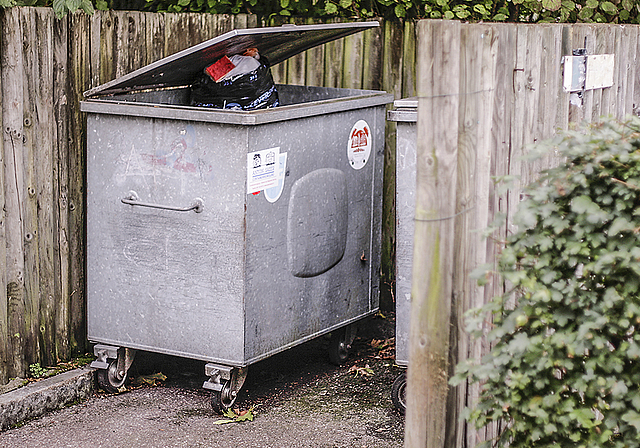 Diskussion um den Müll: Für private Siedlungen meist obligatorisch, werden die Müllcontainer für Eigenheimbesitzer in Münchenstein aber nicht zur Pflicht.  Foto: Lukas Hausendorf