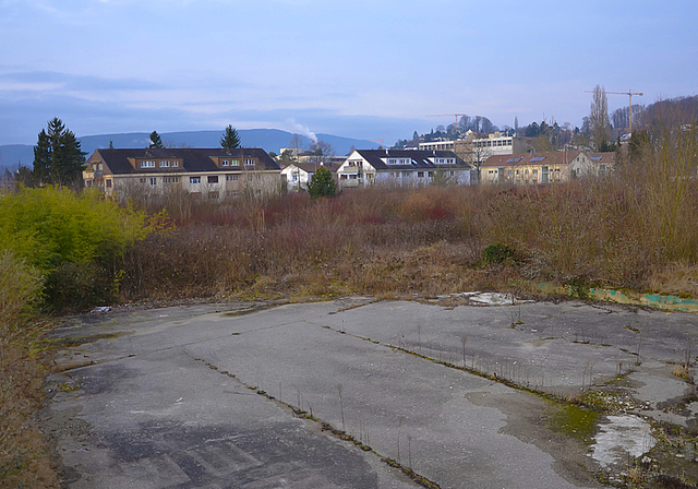 Blick auf das ehemalige Schär-Areal: Am Sonntag sagte Reinach deutlich Ja zum Quartierplan Schönenbach.  Foto: Thomas Kramer