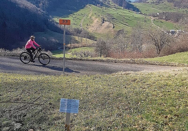 Kontrolle ist gut: Die orangefarbigen Tafeln markieren die Erdgasleitungen, die alle zehn Jahre unterirdisch inspiziert werden. Foto: Gini Minonzio