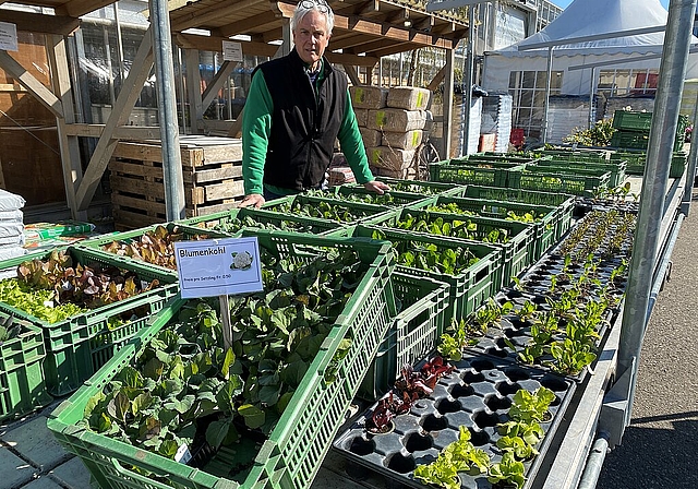 <em>Geschlossen: </em>Die Gärtnereien, im Bild die Gärtnerei Allemann in Witterswil, dürfen die Setzlinge in ihrer Verkaufsstelle nicht verkaufen.Foto: zvg