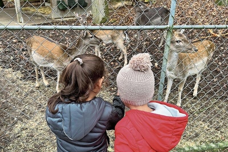 Zum Anfassen: Die Kinder lernen die Namen der Tiere kennen 
und können diese gleich streicheln. Foto: zvg