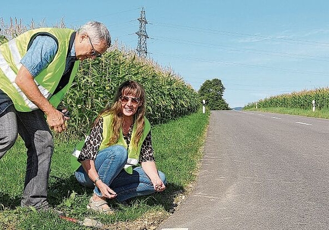 Er hält: Manfred Partl und Christiane Raab stellen fest, dass der kalt ausgebrachte Recycling-Asphalt das erste Jahr gut überstanden hat. 
