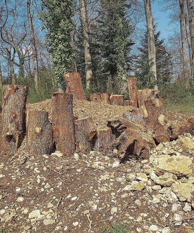 Wieselburg: Unter den Steinen wird von den Helfenden eine mit Laub ausgelegte Höhle errichtet. Fotos: Fabia Maieroni