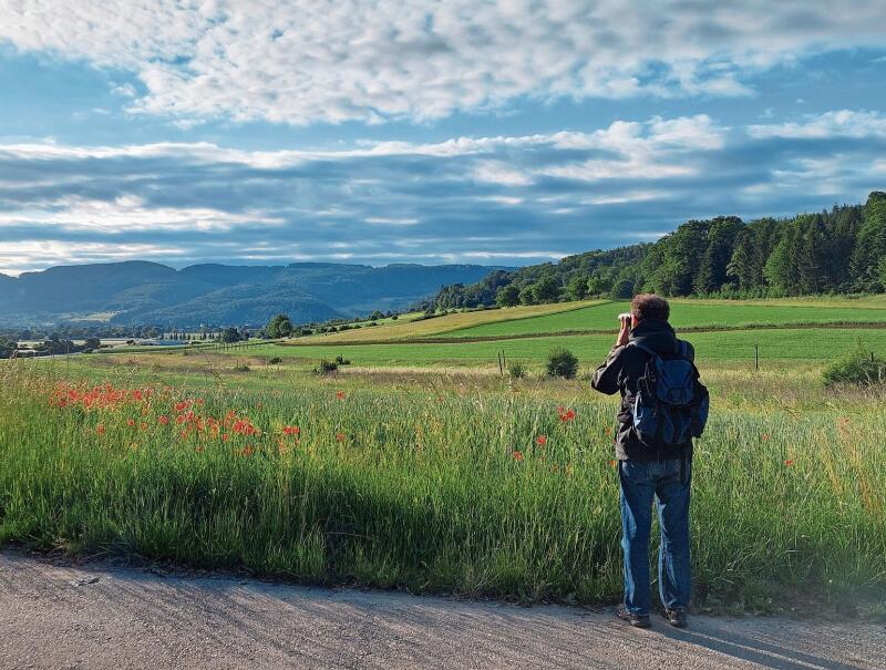 Massnahmen für mehr Biodiversität: Bei der Buntbrache beim Schürfeld entdeckt Fabio Di Pietro verschiedene Vögel, die zu den Bodenbrütern gehören. Foto: Jeannette Weingartner
